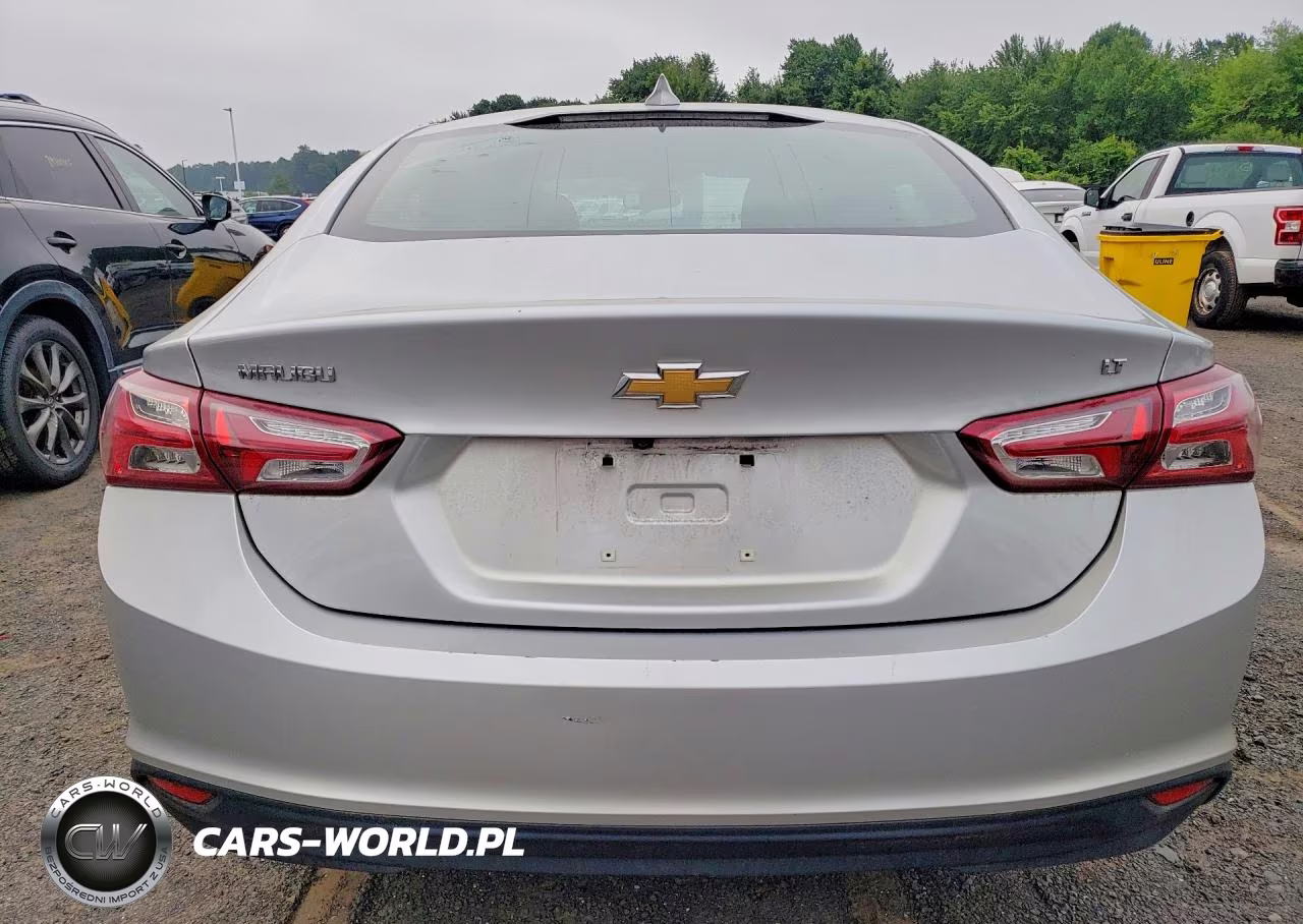 2019 Chevrolet Malibu Lt VIN:1G1ZD5ST4KF184173 - 6