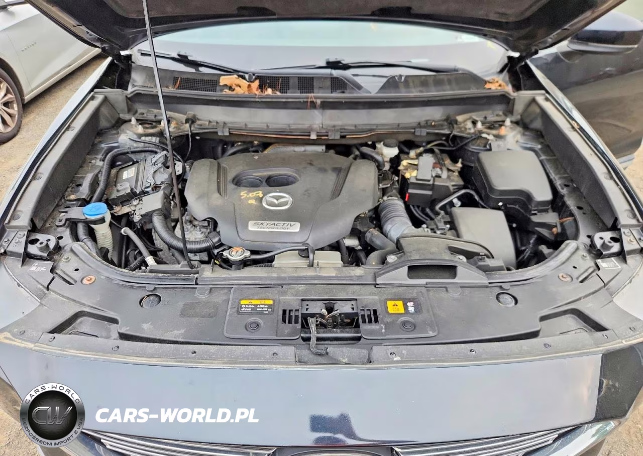 2016 Mazda Cx-9 Grand Touring VIN:JM3TCBDY4G0107828 - 12