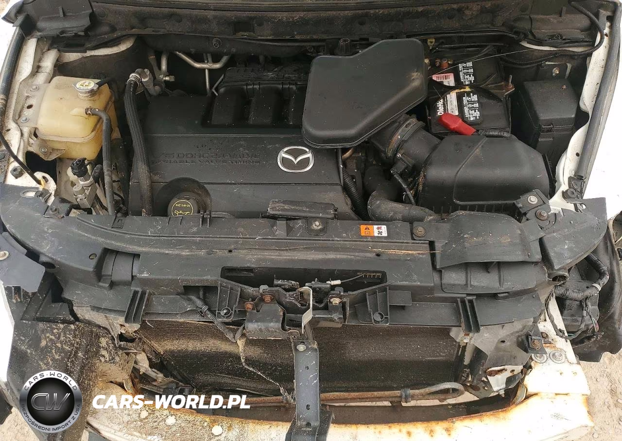 2010 Mazda Cx-9 VIN:JM3TB3MV3A0208610 - 12