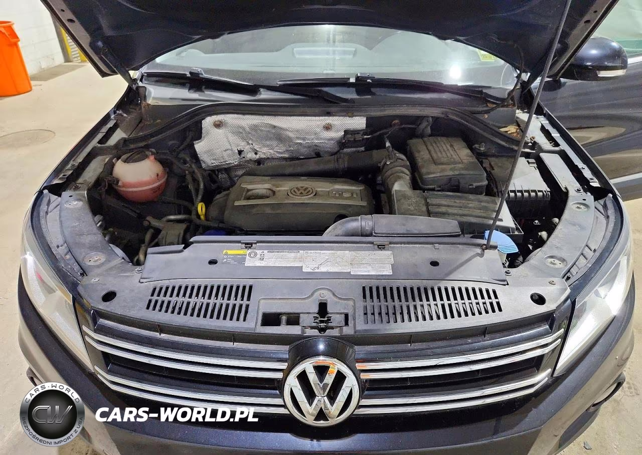 2015 Volkswagen Tiguan S VIN:WVGBV7AX3FW517132 - 12