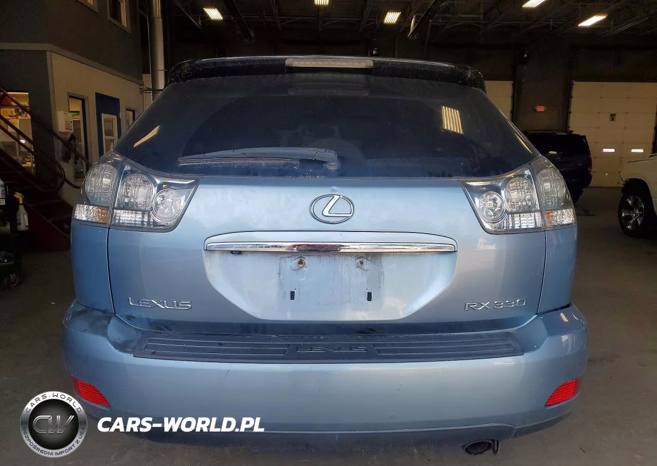 2005 Lexus Rx 330 VIN:2T2HA31U95C070513 - 6