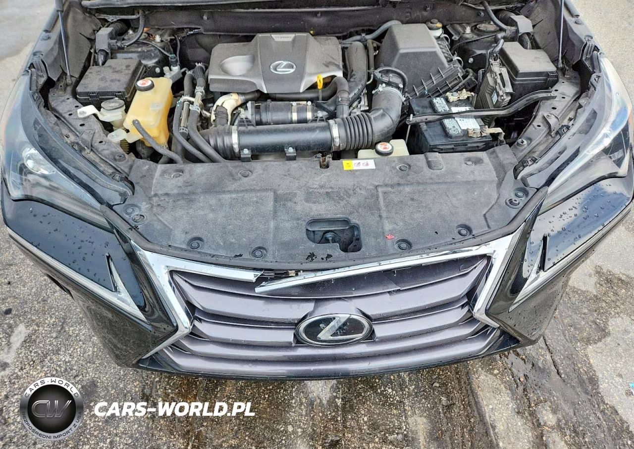 2017 Lexus Nx 200T Base VIN:JTJYARBZ9H2078175 - 12