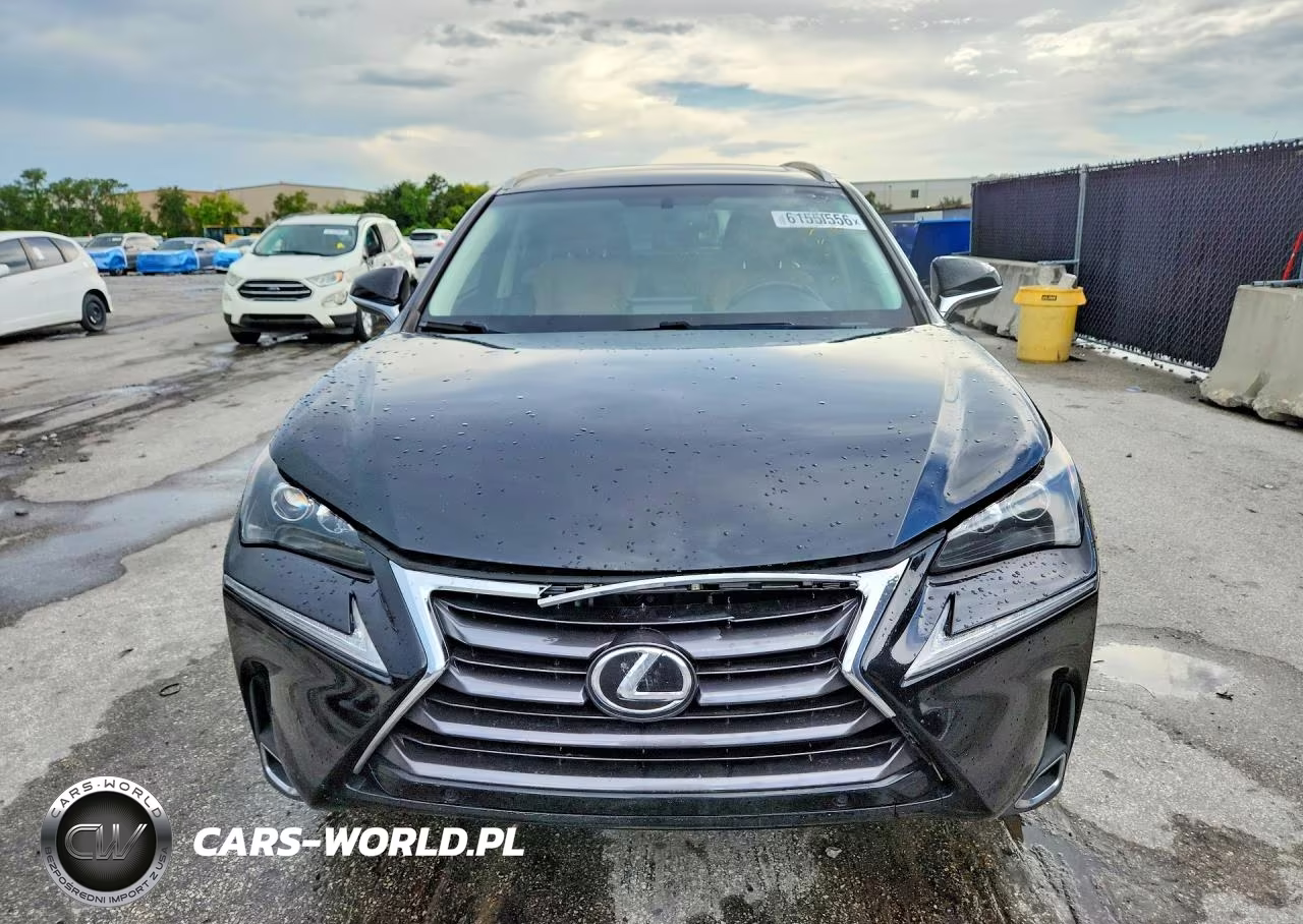2017 Lexus Nx 200T Base VIN:JTJYARBZ9H2078175 - 5