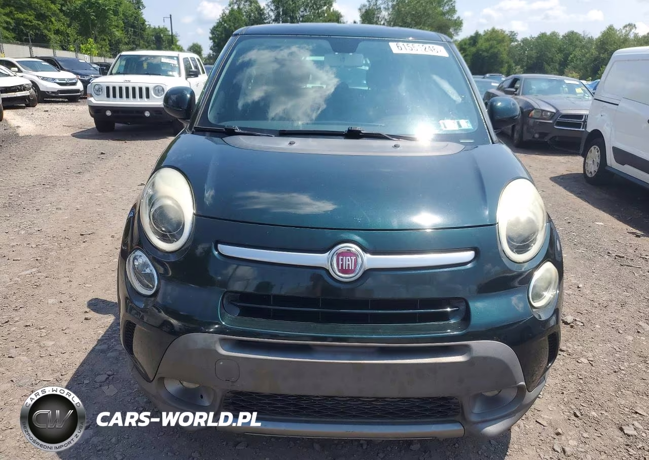 2014 Fiat 500L Trekking VIN:ZFBCFADH1EZ020264 - 5