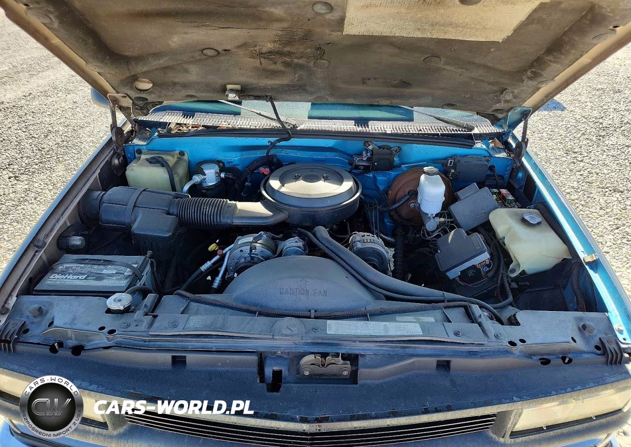 1995 Chevrolet 1500 VIN:1GCEK14K7SE196672 - 11