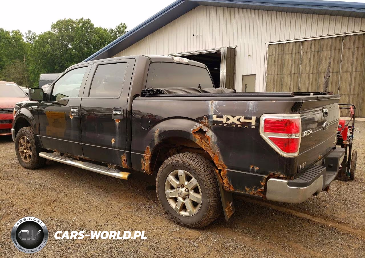 2013 Ford F150 VIN:1FTFW1EF2DKF34736 - 2
