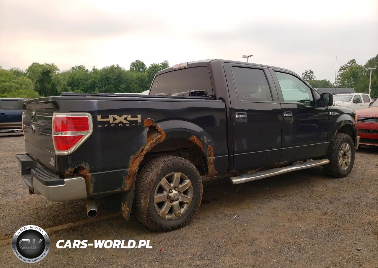 2013 Ford F150 VIN:1FTFW1EF2DKF34736 - 3