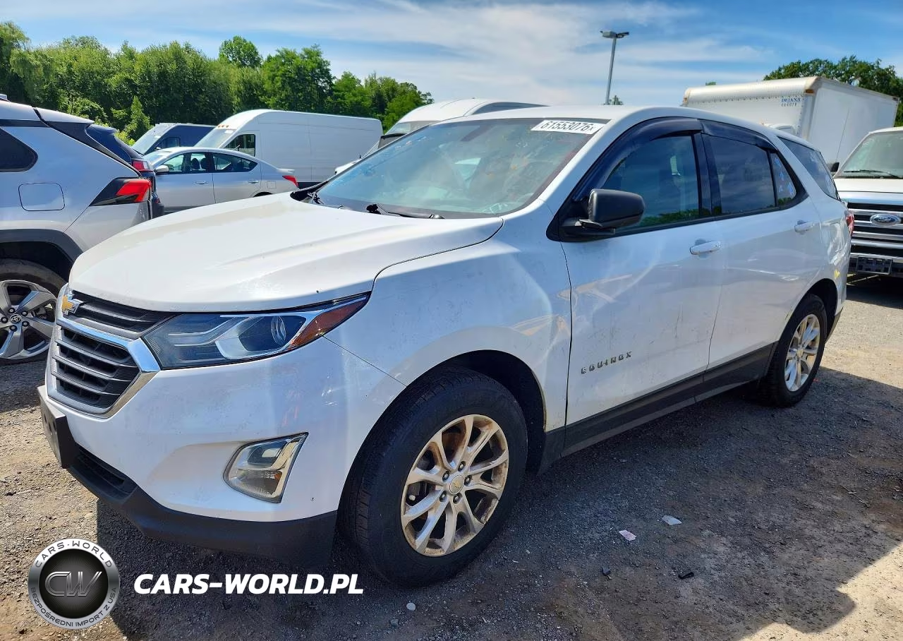 2019 Chevrolet Equinox Ls – zdjęcie 1 z 13
