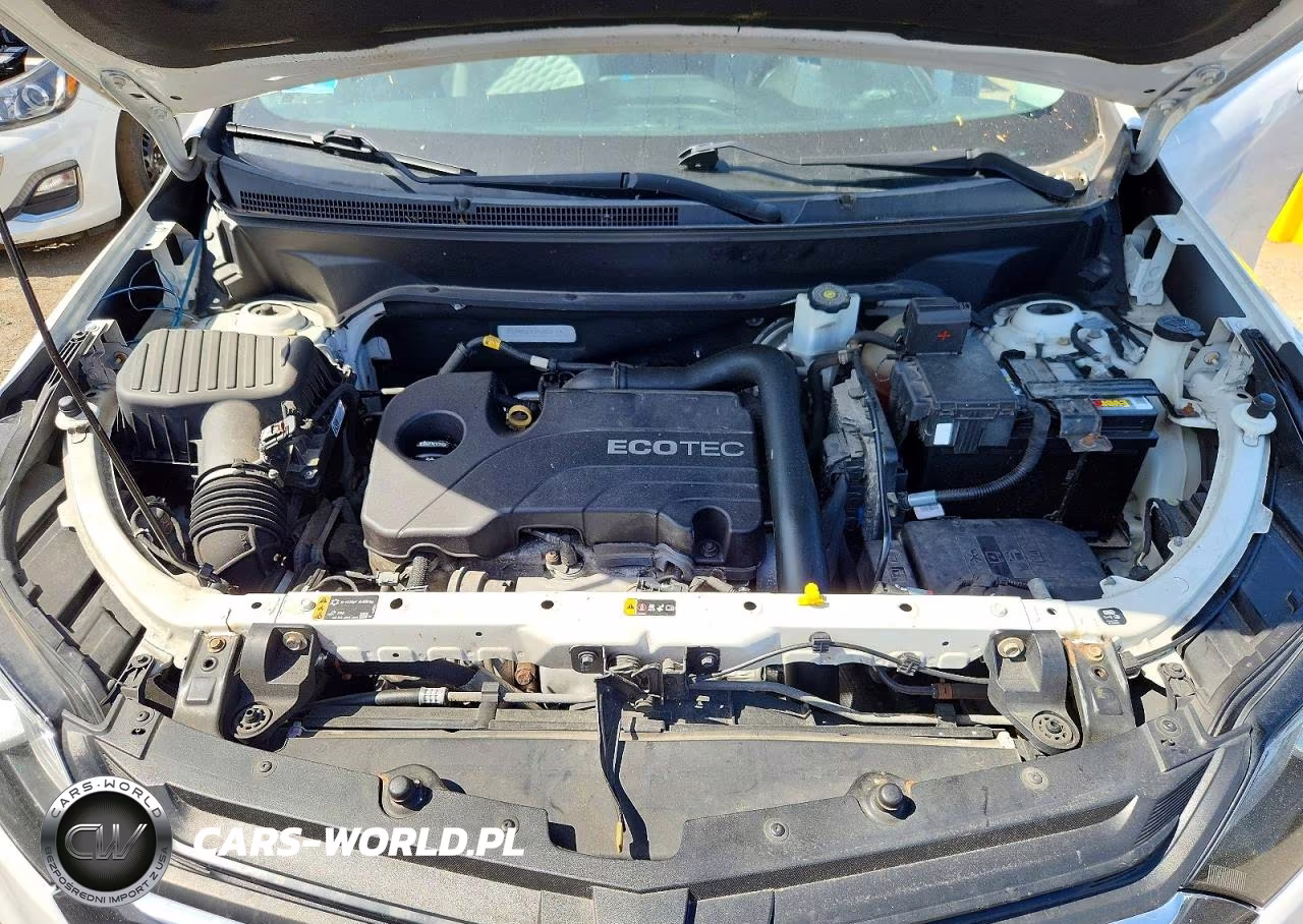 2019 Chevrolet Equinox Ls VIN:3GNAXSEV1KS522610 - 12