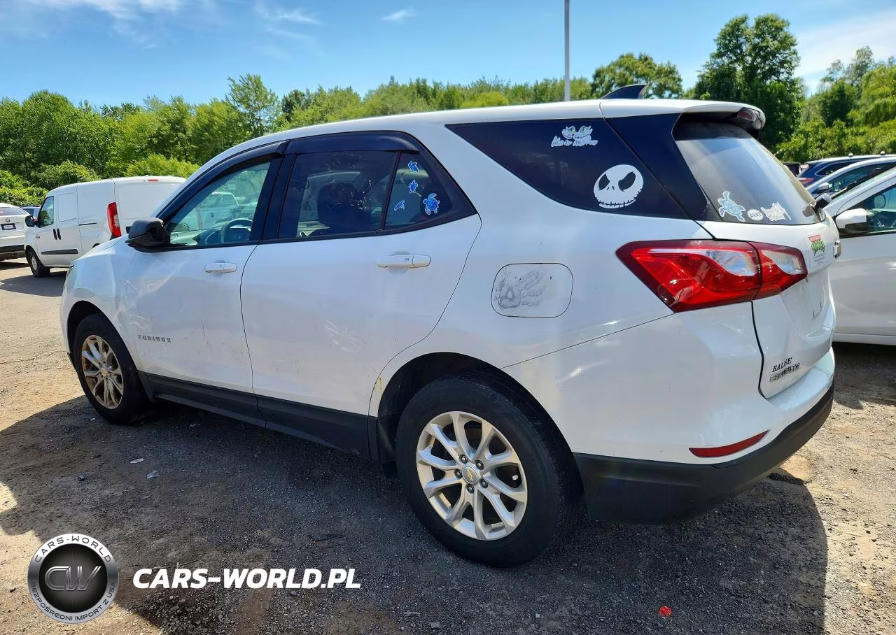 2019 Chevrolet Equinox Ls VIN:3GNAXSEV1KS522610 - 2