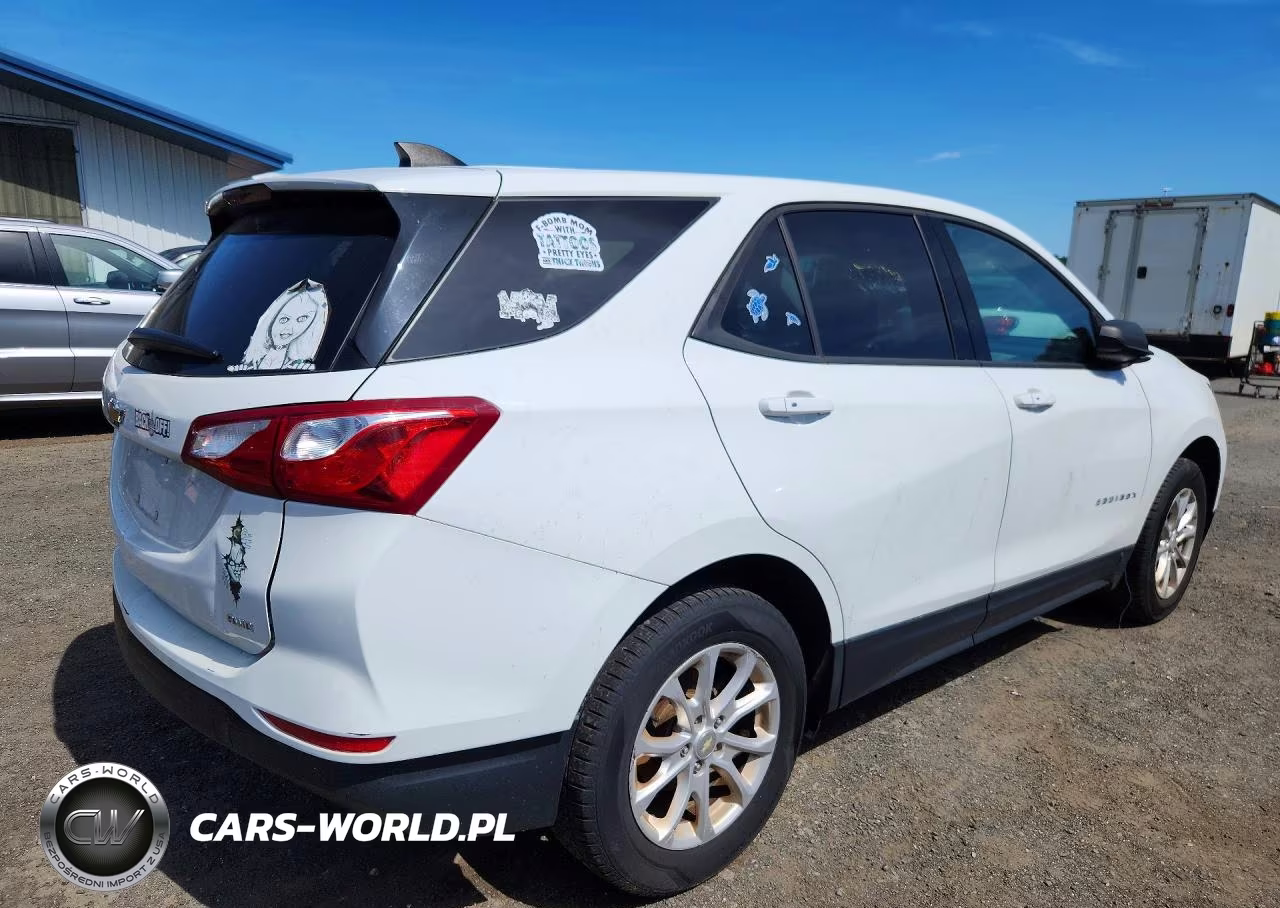 2019 Chevrolet Equinox Ls VIN:3GNAXSEV1KS522610 - 3