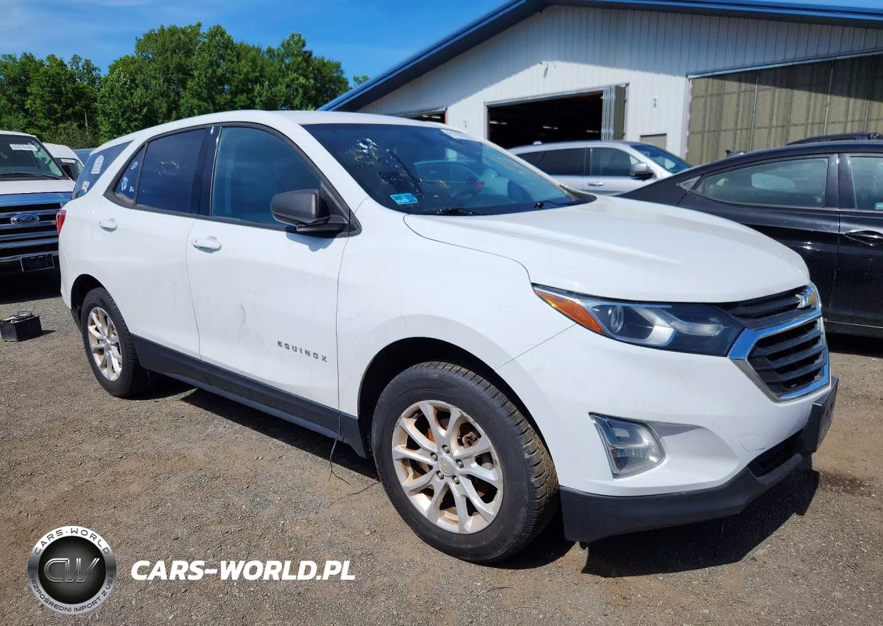 2019 Chevrolet Equinox Ls VIN:3GNAXSEV1KS522610 - 4