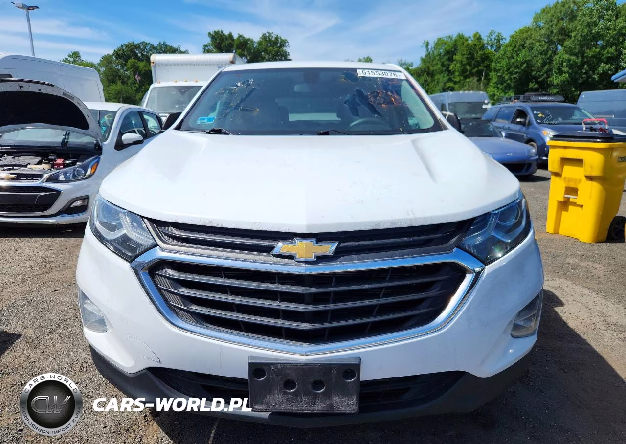 2019 Chevrolet Equinox Ls VIN:3GNAXSEV1KS522610 - 5