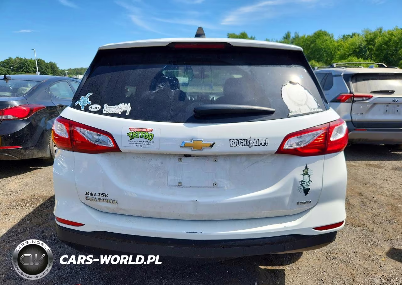2019 Chevrolet Equinox Ls VIN:3GNAXSEV1KS522610 - 6