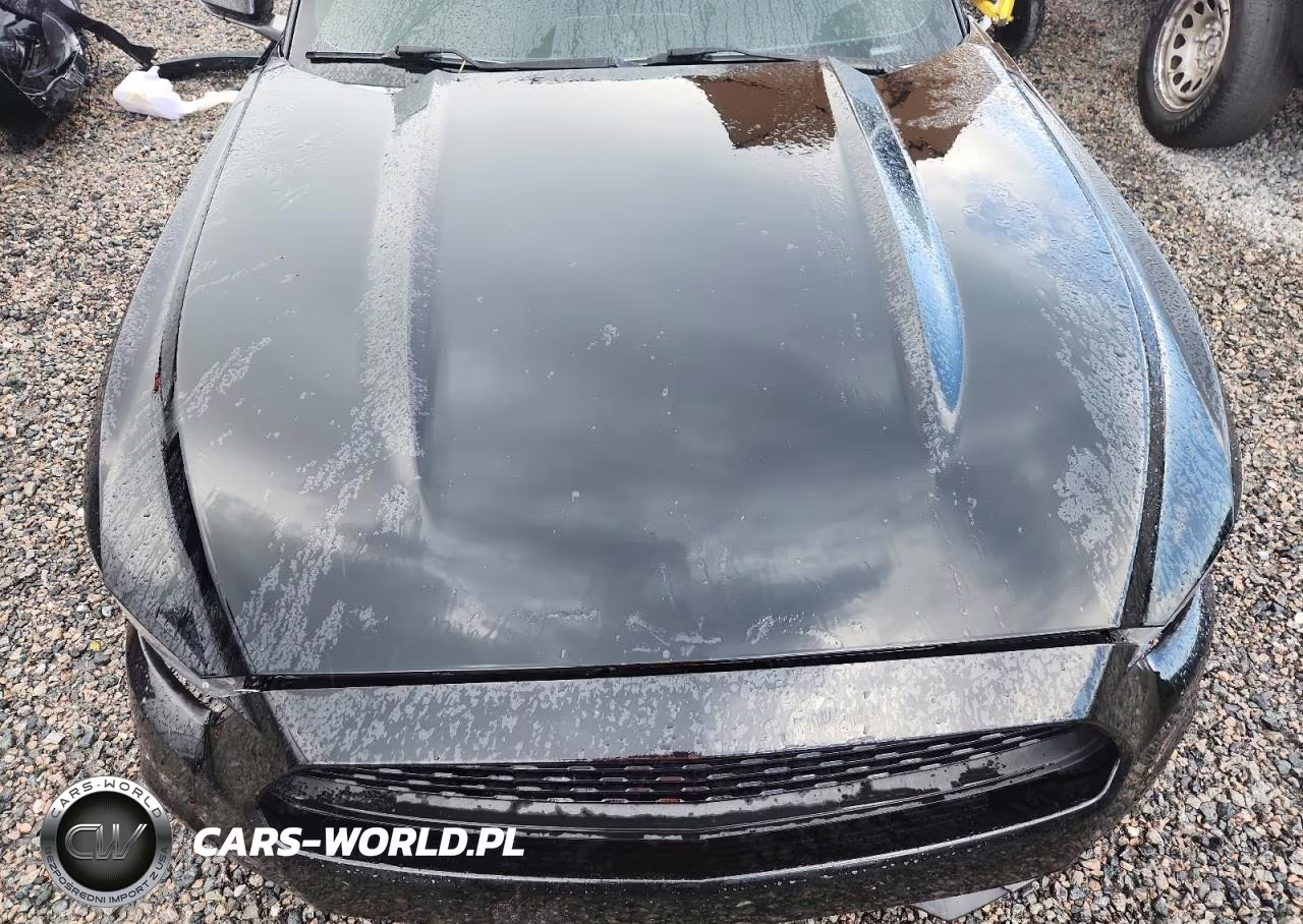 2017 Ford Mustang VIN:1FA6P8TH4H5310274 - 11