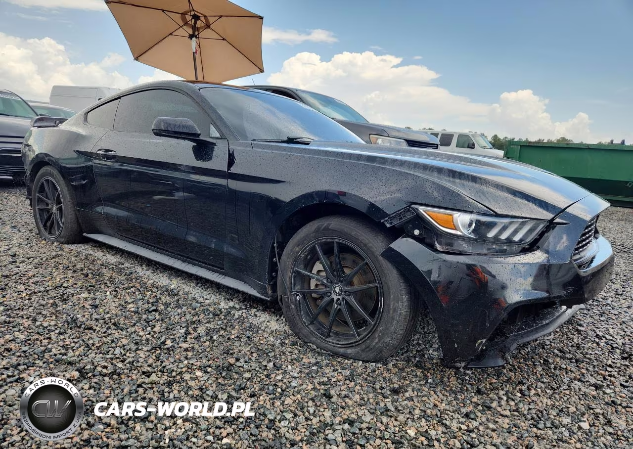 2017 Ford Mustang VIN:1FA6P8TH4H5310274 - 4
