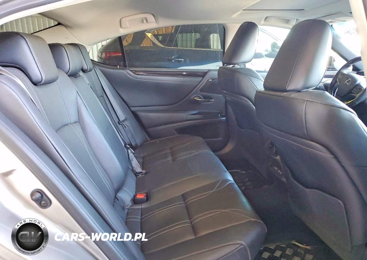 2020 Lexus Es 300H Luxury VIN:58AE21B17LU012174 - 10