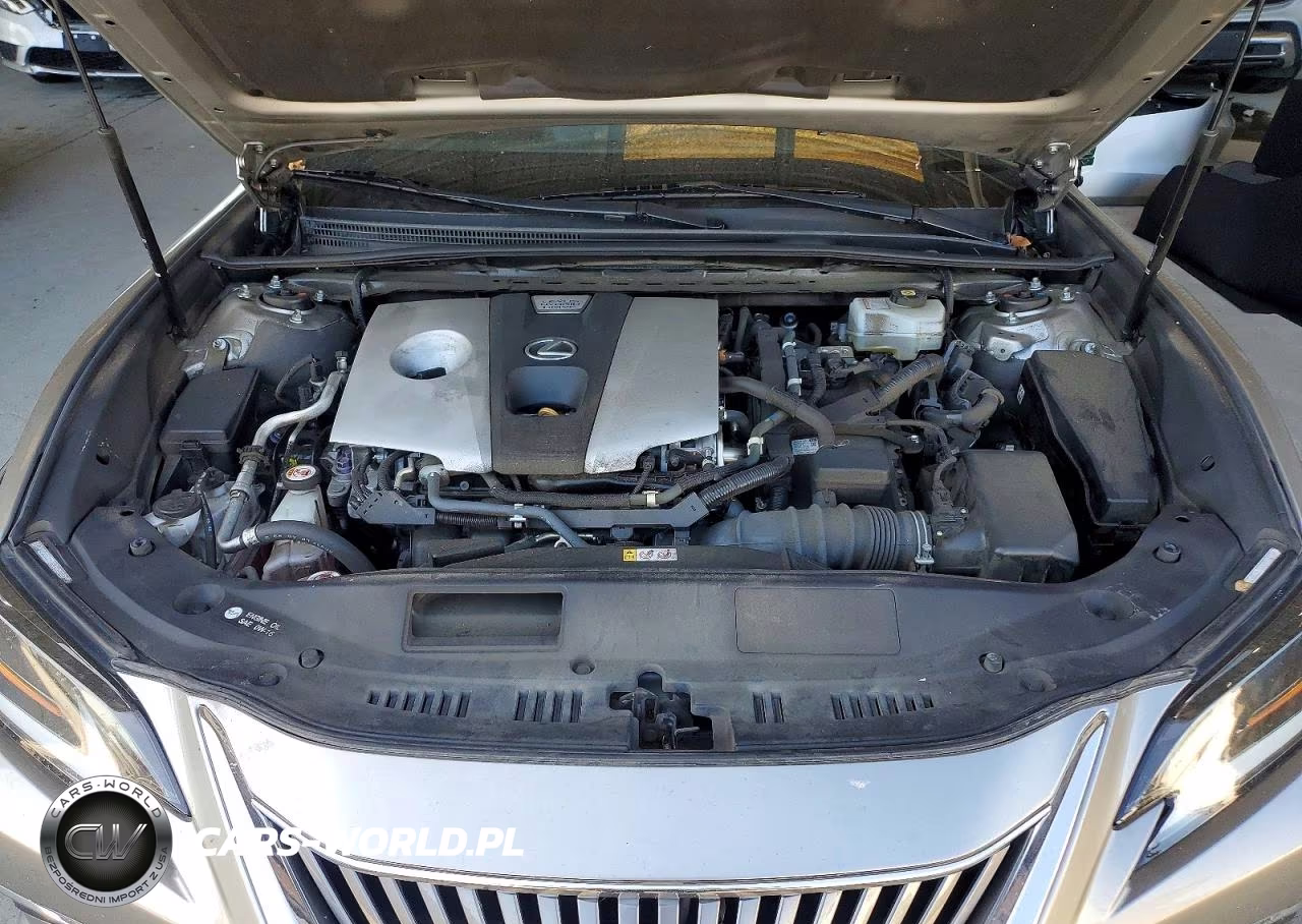 2020 Lexus Es 300H Luxury VIN:58AE21B17LU012174 - 11