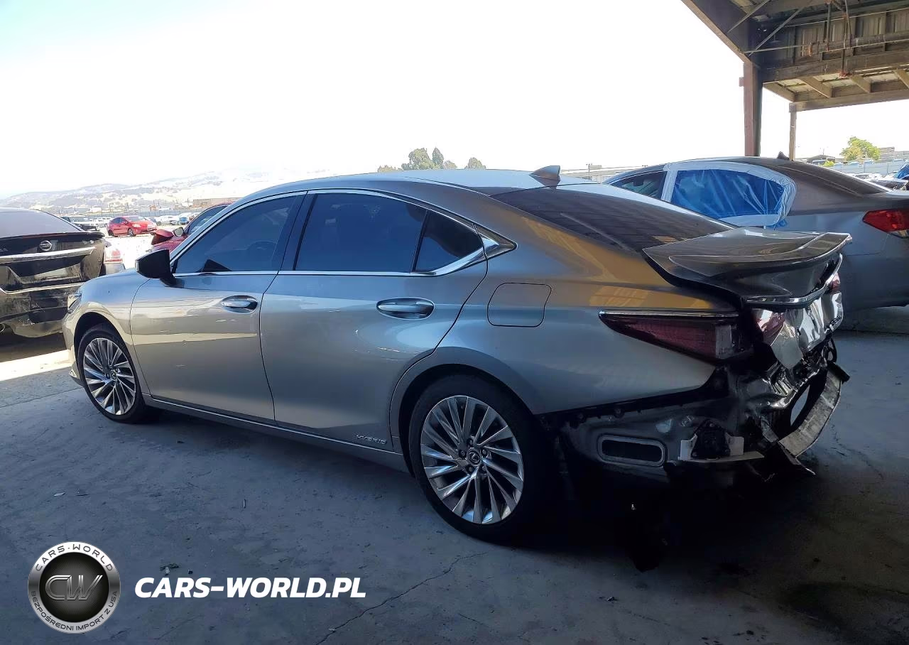 2020 Lexus Es 300H Luxury VIN:58AE21B17LU012174 - 2