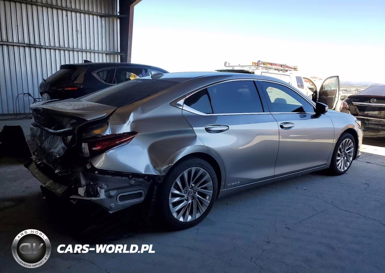 2020 Lexus Es 300H Luxury VIN:58AE21B17LU012174 - 3