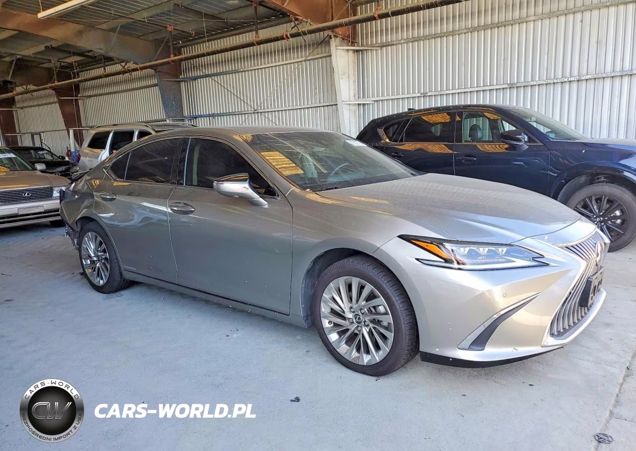 2020 Lexus Es 300H Luxury VIN:58AE21B17LU012174 - 4
