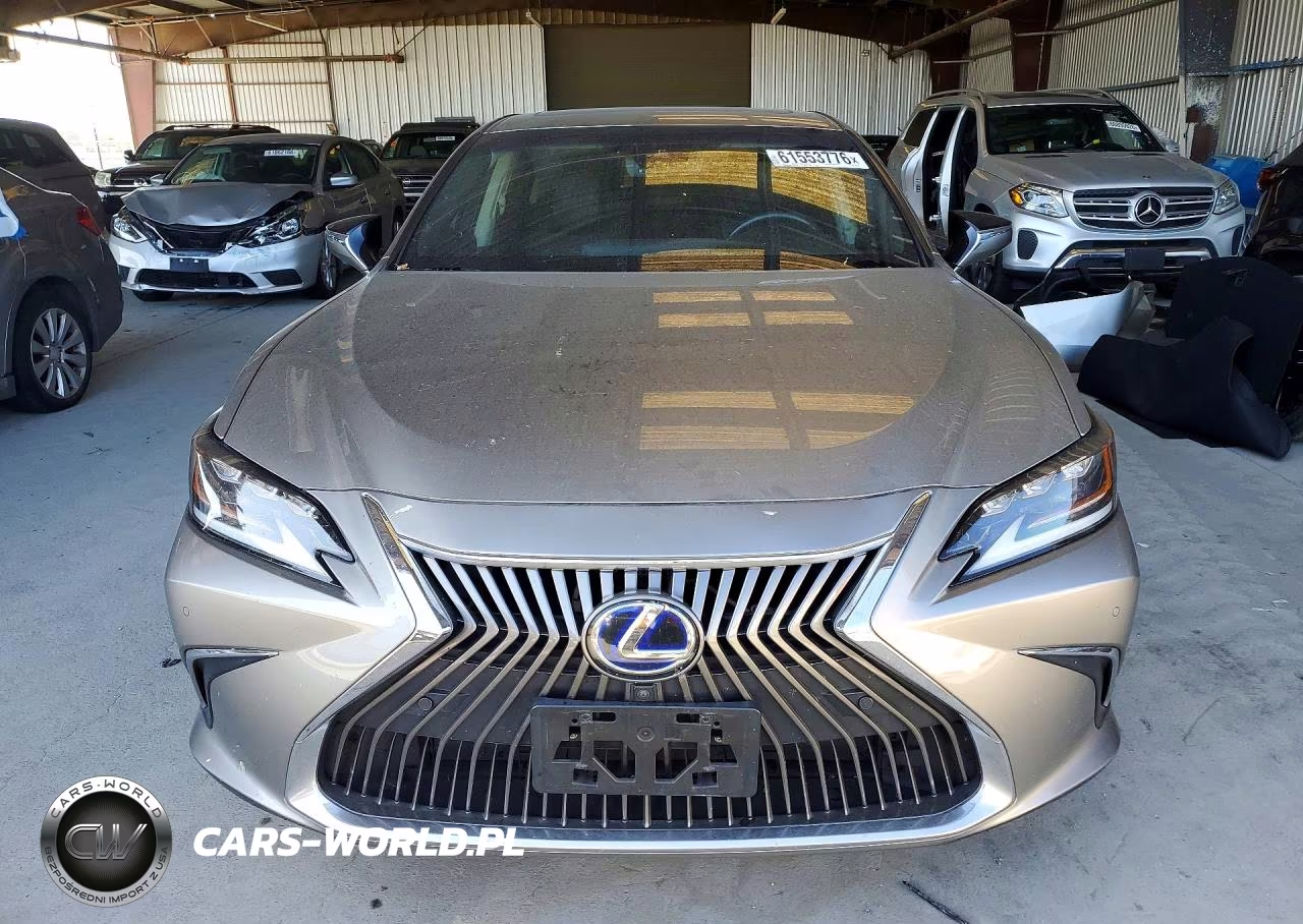2020 Lexus Es 300H Luxury VIN:58AE21B17LU012174 - 5