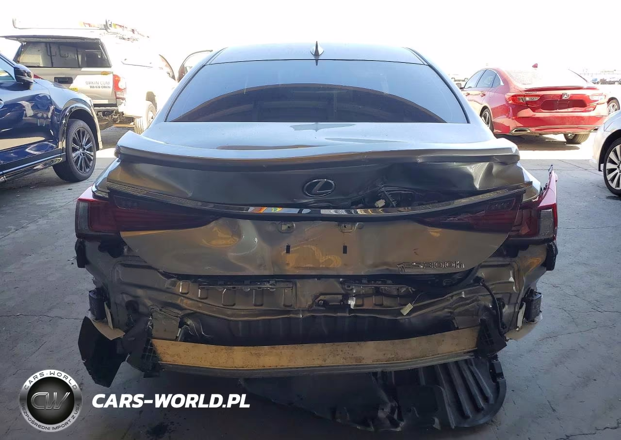 2020 Lexus Es 300H Luxury VIN:58AE21B17LU012174 - 6