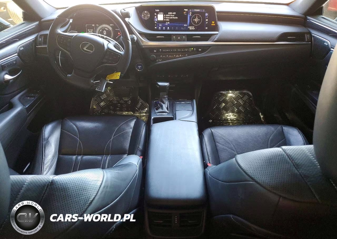 2020 Lexus Es 300H Luxury VIN:58AE21B17LU012174 - 8
