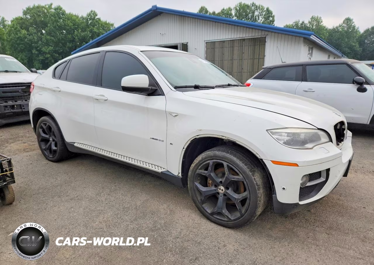 2014 BMW X6 xDrive35I VIN:5UXFG2C59E0C43338 - 4