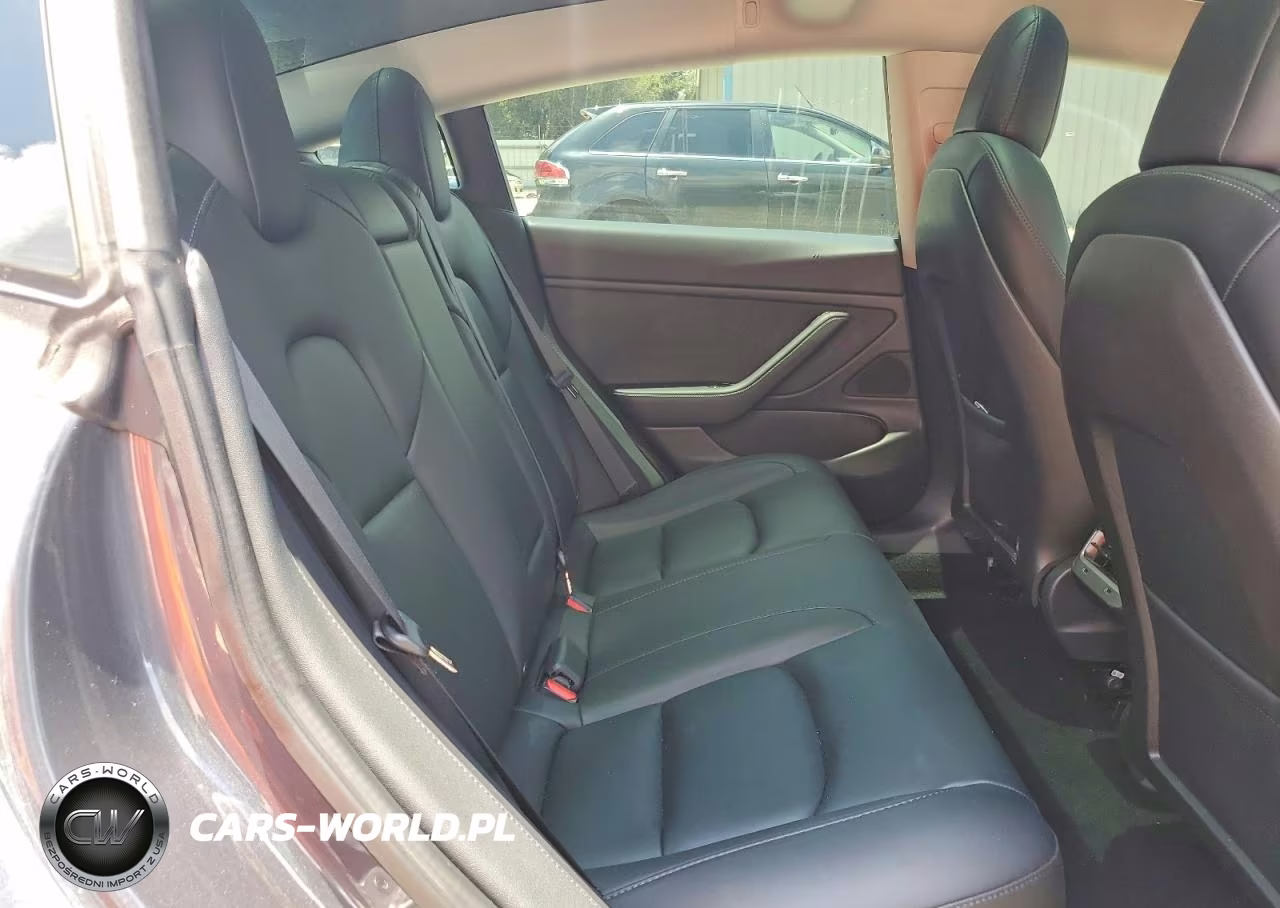 2020 Tesla Model 3 VIN:5YJ3E1EC3LF713360 - 10