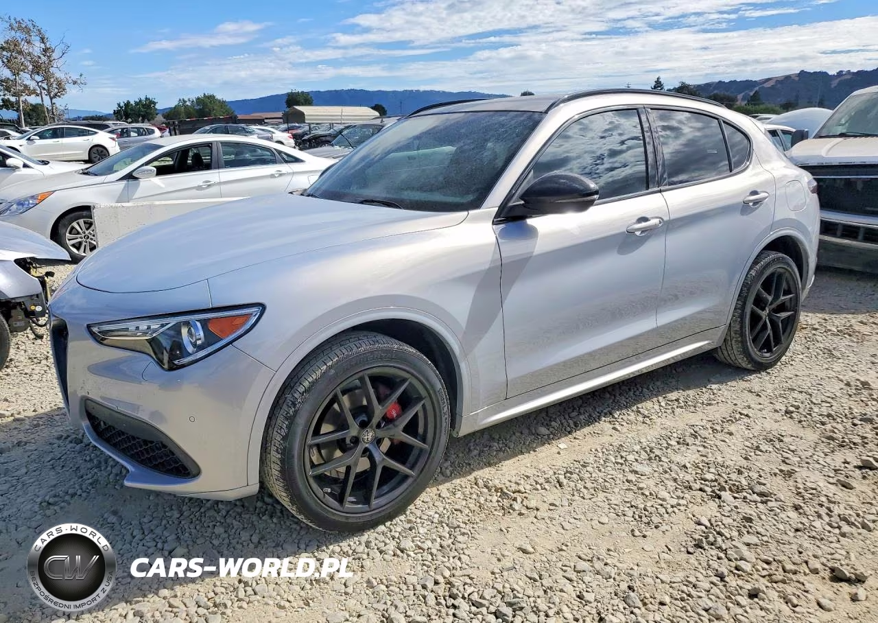 2021 Alfa Romeo Stelvio Ti VIN:ZASPAKBN0M7D18950 - 1