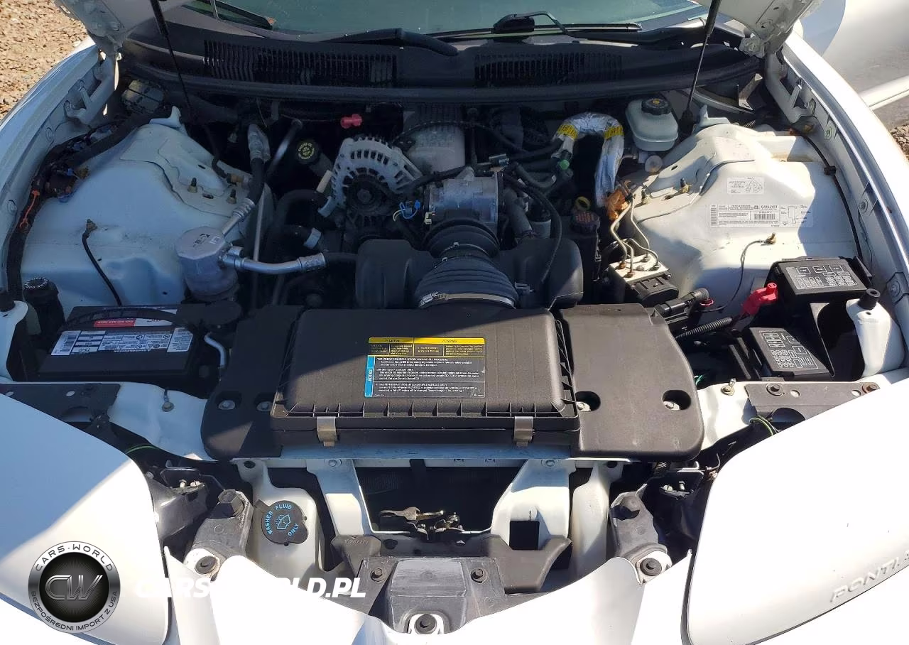 2002 Pontiac Firebird VIN:2G2FS32K222118111 - 11