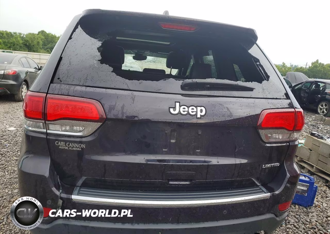 2020 Jeep Grand Cherokee Limited VIN:1C4RJEBG1LC280915 - 6