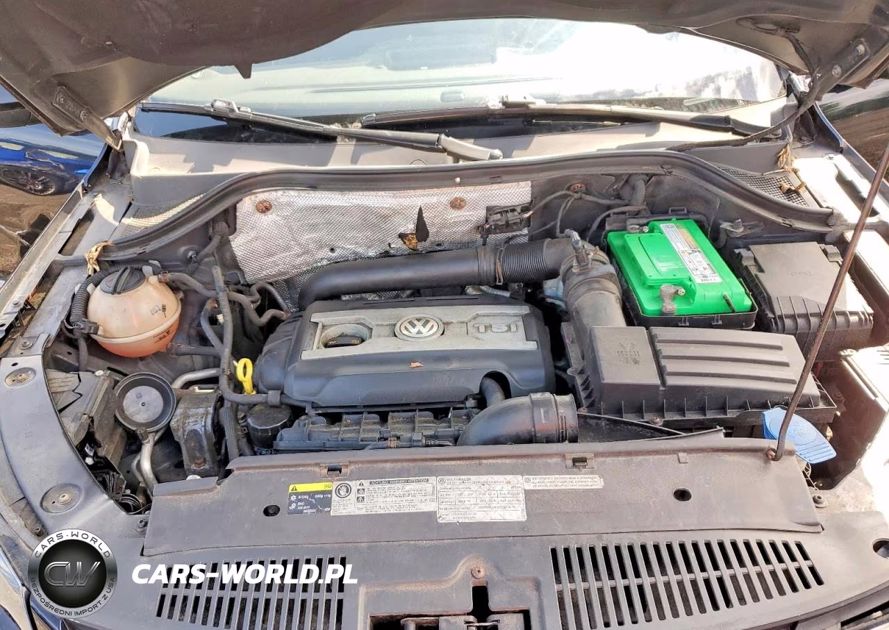 2013 Volkswagen Tiguan S VIN:WVGBV3AX7DW614386 - 12