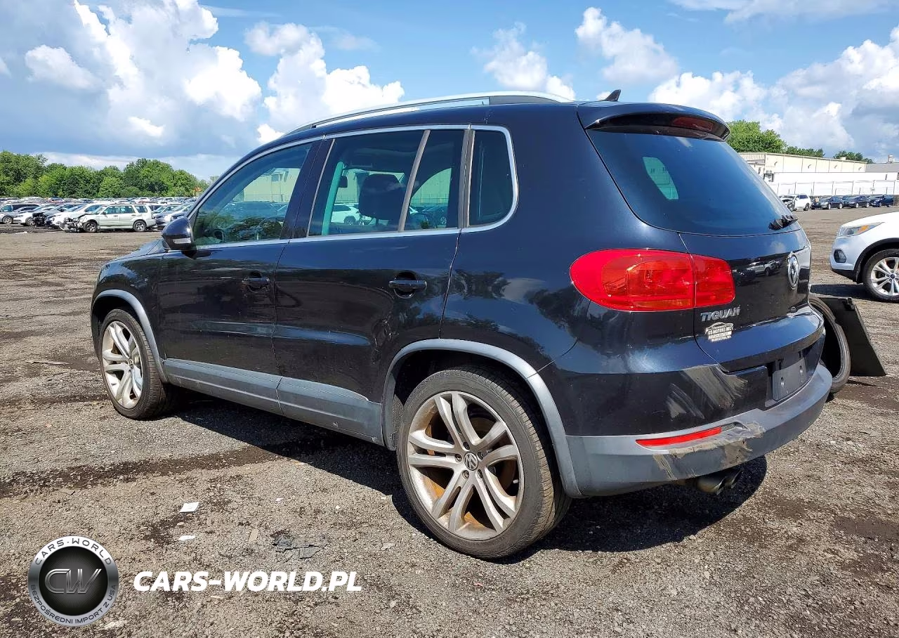 2013 Volkswagen Tiguan S VIN:WVGBV3AX7DW614386 - 2