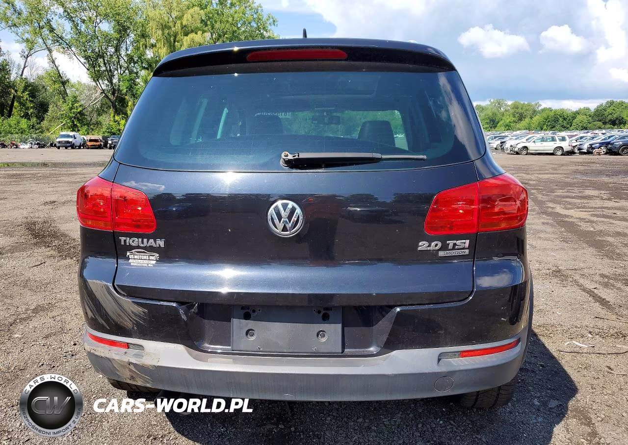2013 Volkswagen Tiguan S VIN:WVGBV3AX7DW614386 - 6