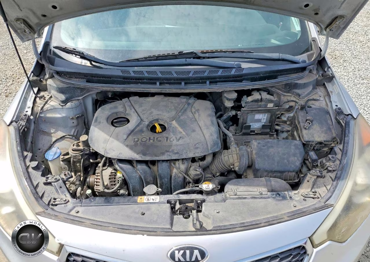 2014 Kia Forte Lx VIN:KNAFK4A69E5175093 - 11