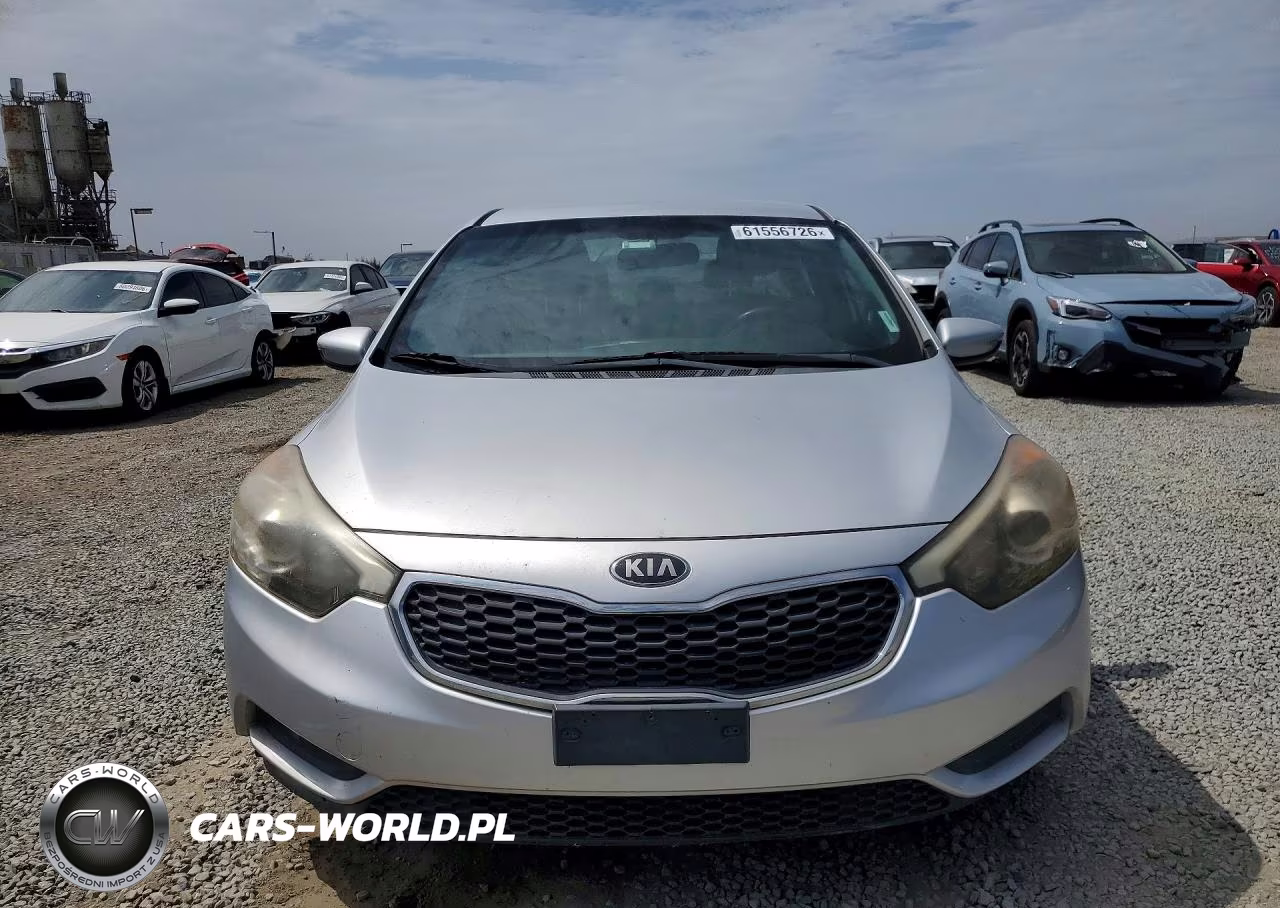 2014 Kia Forte Lx VIN:KNAFK4A69E5175093 - 5
