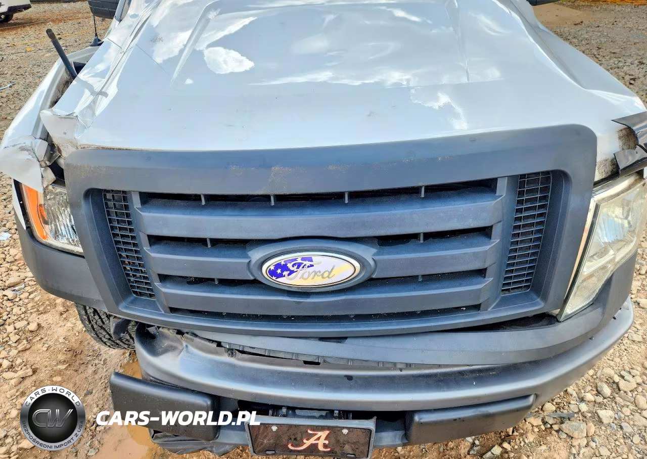 2009 Ford F150 VIN:1FTRF12889KC82596 - 11