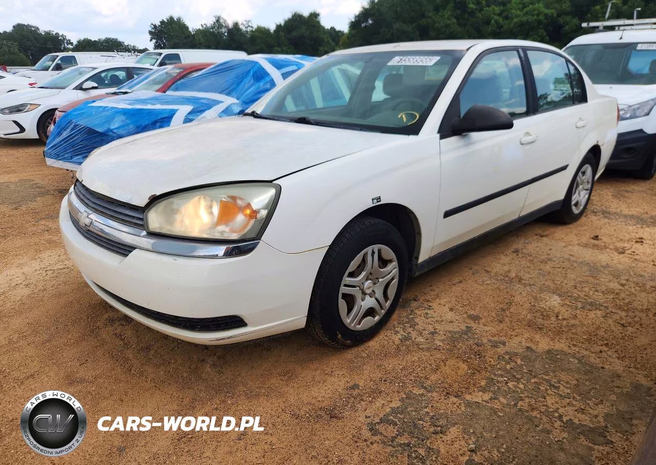2005 Chevrolet Malibu VIN:1G1ZS52F95F216166 - 1