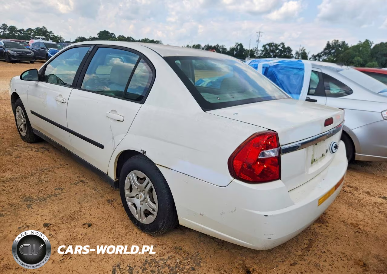 2005 Chevrolet Malibu VIN:1G1ZS52F95F216166 - 2