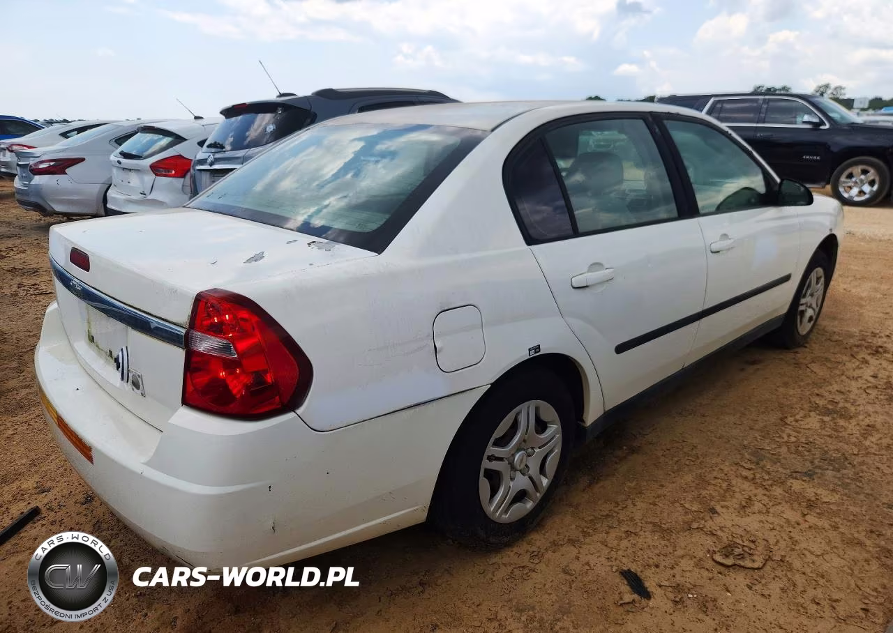 2005 Chevrolet Malibu VIN:1G1ZS52F95F216166 - 3