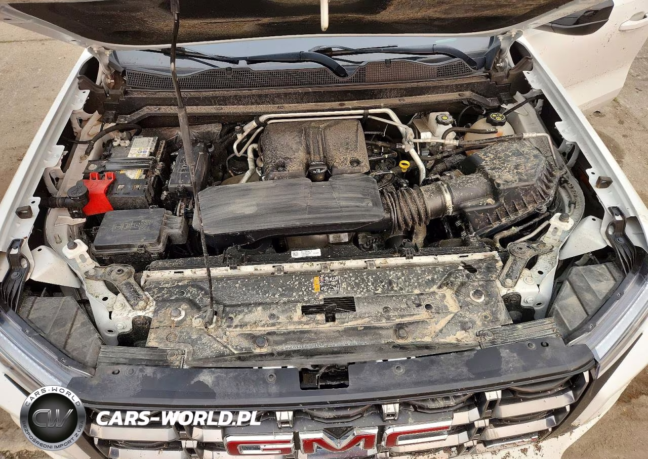 2023 GMC Canyon At4 VIN:1GTP6DEK9P1208204 - 11