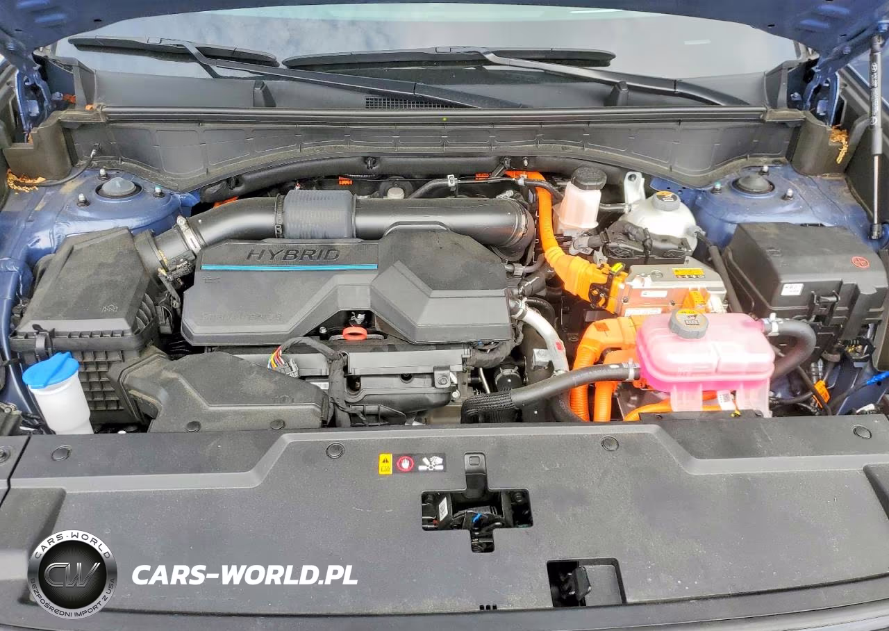2025 Hyundai Santa Fe Calligraphy VIN:5NMP5DG14SH040431 - 12