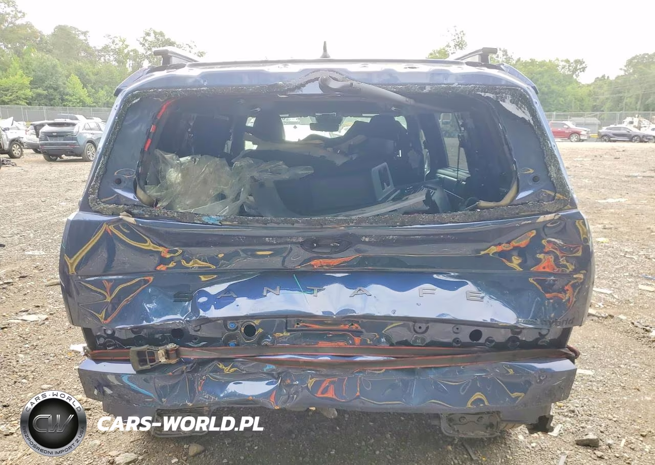 2025 Hyundai Santa Fe Calligraphy VIN:5NMP5DG14SH040431 - 6