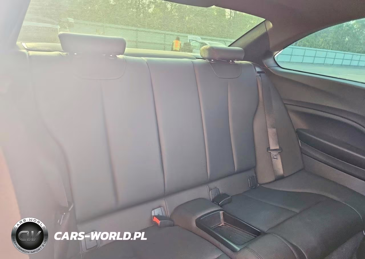 2016 BMW 228 Xi Sulev VIN:WBA1G9C55GV599046 - 10