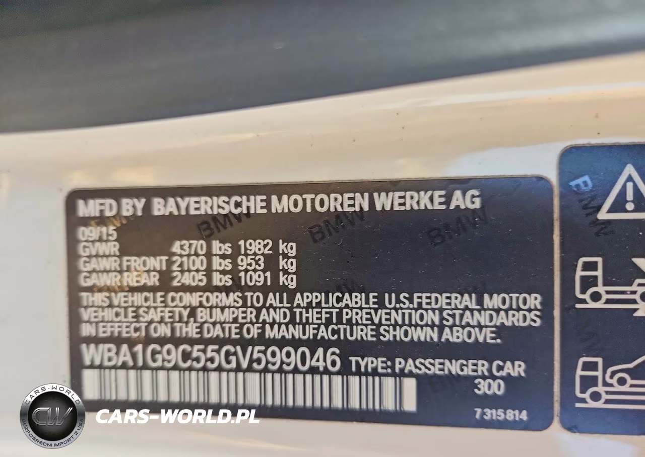 2016 BMW 228 Xi Sulev VIN:WBA1G9C55GV599046 - 12