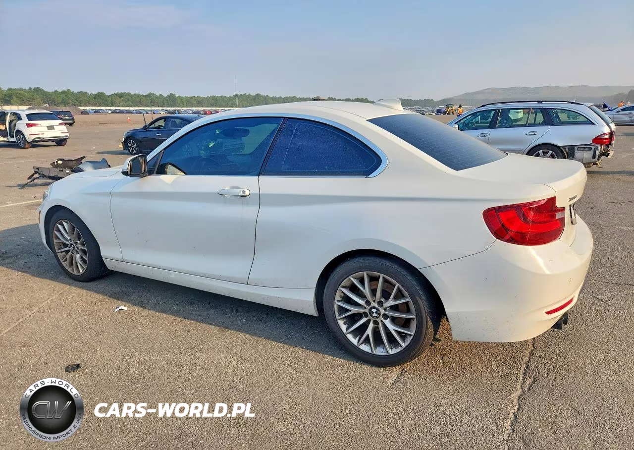 2016 BMW 228 Xi Sulev VIN:WBA1G9C55GV599046 - 2