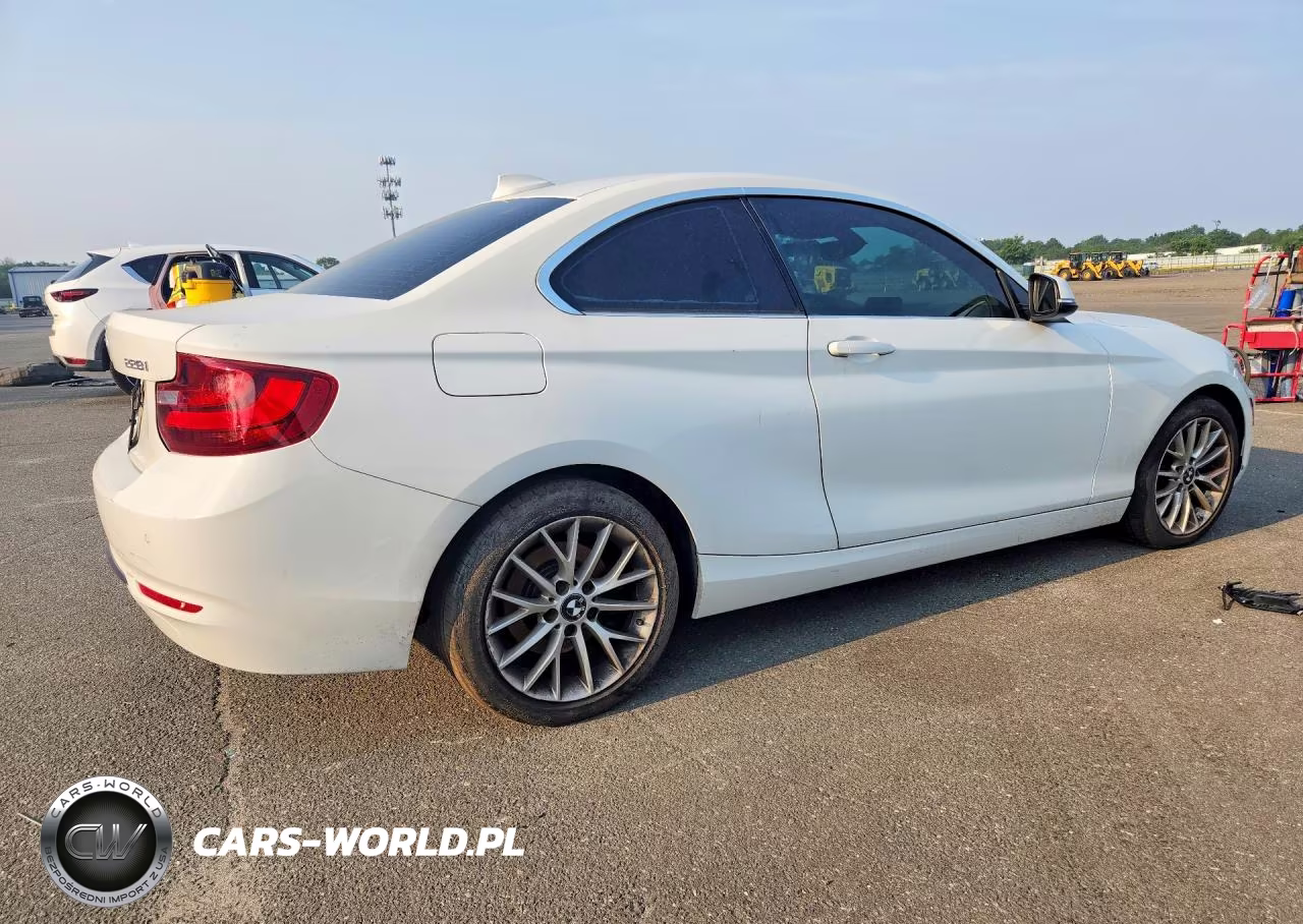 2016 BMW 228 Xi Sulev VIN:WBA1G9C55GV599046 - 3