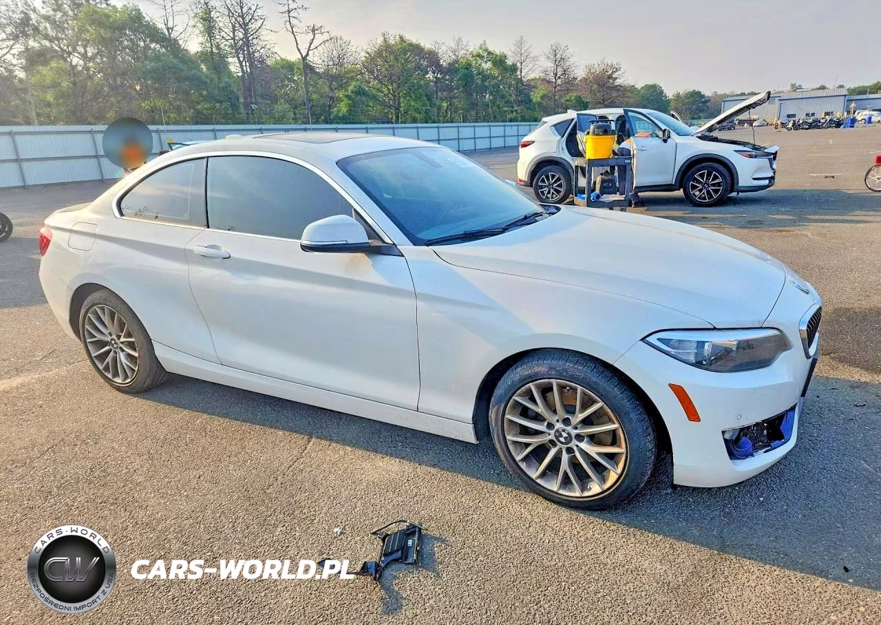 2016 BMW 228 Xi Sulev VIN:WBA1G9C55GV599046 - 4